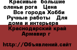 Красивые  большие оленьи рога › Цена ­ 3 000 - Все города Хобби. Ручные работы » Для дома и интерьера   . Краснодарский край,Армавир г.